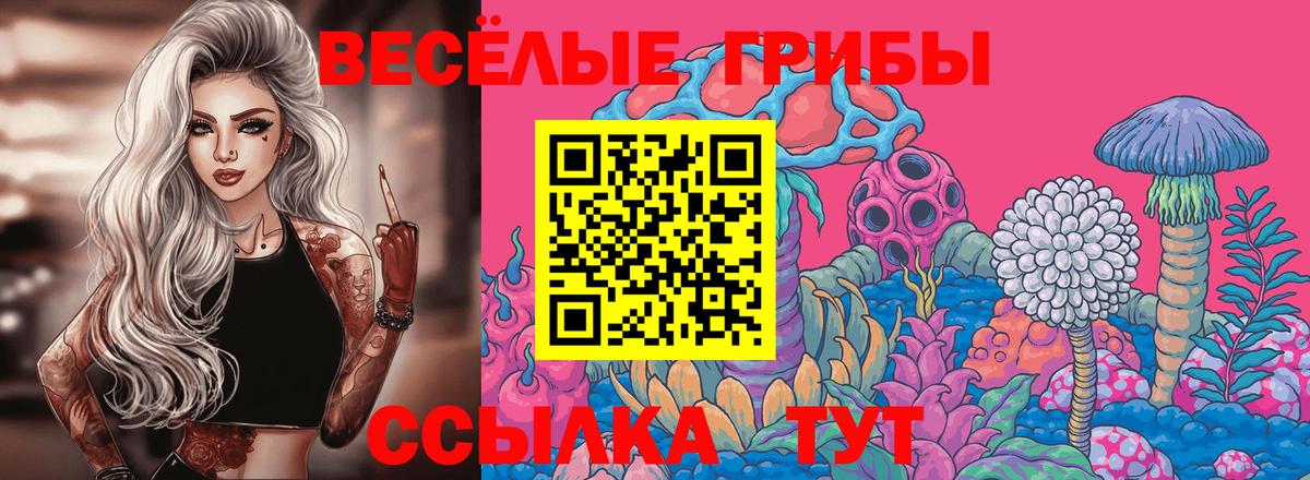 Галлюциногенные грибы Psilocybine cubensis Нерюнгри